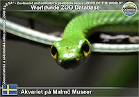 01025 (01)  Akvariet på Malmö Museer