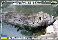 00048 (01)  ZOO "Kazkova dibrova" Nova Kakhovka