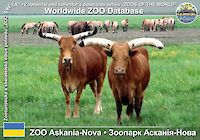 00184 (01)  ZOO Askania-Nova