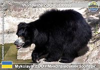 00238 (01)  Mykolayiv ZOO