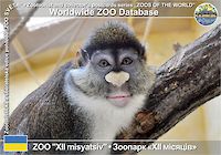 00424 (01)  ZOO "XII misyatsiv"
