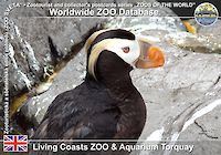 00316 (01)  Living Coasts ZOO & Aquarium Torquay