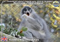 00438 (01)  Howletts Wild Animal Park