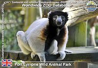00492 (01)  Port Lympne Wild Animal Park